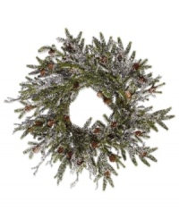 Welcome the winter. The Winter Ice pine cone wreath lets you decorate with a touch of lifelike evergreen beauty, making it perfect for the holidays. From Winward. Welcome the winter. The Winter Ice pine cone wreath lets you decorate with a touch of lifelike evergreen beauty, making it perfect for the holidays. From Winward.