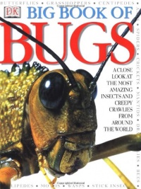 Big Book of Bugs Big Book of Bugs