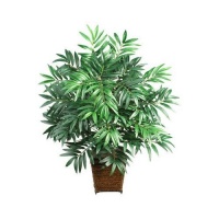 Nearly Natural 6556 Silk Bamboo Palm Plant with Wicker Basket in Green Nearly Natural 6556 Silk Bamboo Palm Plant with Wicker Basket in Green