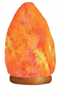 WBM 9-Inch Himalayan Natural Crystal Salt Lamp