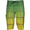 Quiksilver Cypher Wonderland Green 4-Way Stretch Boardshorts