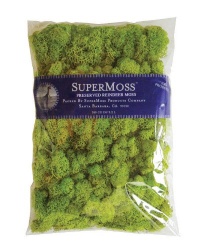 Super Moss 21669 Reindeer Moss Preserved, Chartreuse, 8-Ounce Super Moss 21669 Reindeer Moss Preserved, Chartreuse, 8-Ounce
