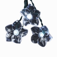 Kurt Adler 10-Light 2-3/4-Inch Clear LED Flower Light Set Kurt Adler 10-Light 2-3/4-Inch Clear LED Flower Light Set