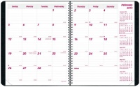 Brownline 2013 Monthly Planner, 14 months (December 2012 - January 2014), Twin-Wire, Black, 11 x 8.5-Inches (CB1262.BLK-13)