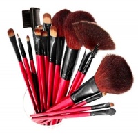 SHANY Professional 13-Piece Cosmetic Brush Set with Pouch, Set of 12 Brushes and 1 Pouch, Red SHANY Professional 13-Piece Cosmetic Brush Set with Pouch, Set of 12 Brushes and 1 Pouch, Red