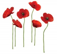 RoomMates RMK1729GM Poppies at Play Peel and Stick Giant Wall Decals RoomMates RMK1729GM Poppies at Play Peel and Stick Giant Wall Decals