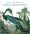 Audubon's Birds Of America (Tiny Folio)