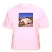 Mountain Goat Billy, Logan Pass, Glacier NP, Montana - US27 CHA1103 - Chuck Haney - Toddler Light-Pink-T-Shirt (2T)