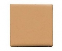 Trish McEvoy Portabale Foundation Refill #2 Trish McEvoy Portabale Foundation Refill #2