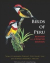 Birds of Peru: Revised and Updated Edition (Princeton Field Guides)