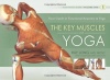 The Key Muscles of Yoga: Scientific Keys, Volume I