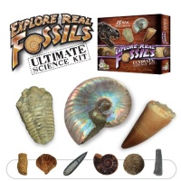 Ultimate Fossil Kit - Set of 15 Real Fossils - Includes Rare Specimens! Ultimate Fossil Kit - Set of 15 Real Fossils - Includes Rare Specimens!