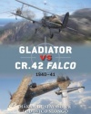 Gladiator vs CR.42 Falco: 1940-41 (Duel)