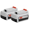 Black & Decker LBXR36-2 36V 2-Pack Lithium Ion Battery