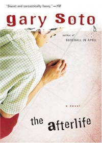 The Afterlife The Afterlife