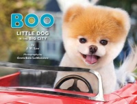 Boo: Little Dog in the Big City Boo: Little Dog in the Big City
