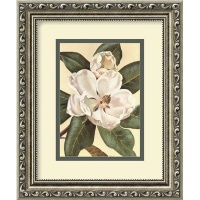 Afternoon Magnolia by Waltraud Fuchs Von Schwarzbek, Framed Print Art - 11.91 x 9.91 Afternoon Magnolia by Waltraud Fuchs Von Schwarzbek, Framed Print Art - 11.91 x 9.91