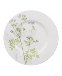 A natural for casual dining, Althea Nova dinner plates by Villeroy & Boch feature durable porcelain planted with delicate herbs for a look that's fresh from the garden. With green trim. A natural for casual dining, Althea Nova dinner plates by Villeroy & Boch feature durable porcelain planted with delicate herbs for a look that's fresh from the garden. With green trim.