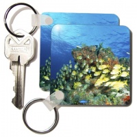 Bluestriped grunt fish, Caribbean - NA02 MDE0014 - Michael DeFreitas - Set Of 6 Key Chains Bluestriped grunt fish, Caribbean - NA02 MDE0014 - Michael DeFreitas - Set Of 6 Key Chains