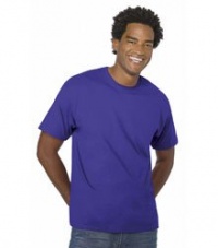 Hanes 5280 5.2 oz 100% ComfortSoft Cotton T