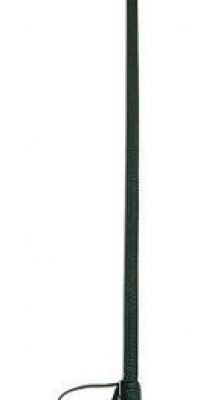 Perri's Black Crop with Loop Handle, Black, 26-Inch Perri's Black Crop with Loop Handle, Black, 26-Inch