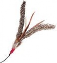 Da Bird Refill Replacement Feathers Da Bird Refill Replacement Feathers