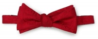 Countess Mara Men's Party Paisley Bowtie, Red, 14.5/20 Inch