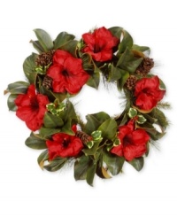 Vibrant red Amaryllis creates a beautiful focal point in this holiday wreath from Winward. Accented with pine cones and branches, this floral wreath is sure to evoke a festive atmosphere. Vibrant red Amaryllis creates a beautiful focal point in this holiday wreath from Winward. Accented with pine cones and branches, this floral wreath is sure to evoke a festive atmosphere.