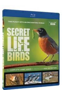 Secret Life of Birds - Blu-ray Secret Life of Birds - Blu-ray
