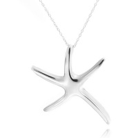 Bling Jewelry Sterling Silver Extra Large Starfish Necklace 16in Bling Jewelry Sterling Silver Extra Large Starfish Necklace 16in