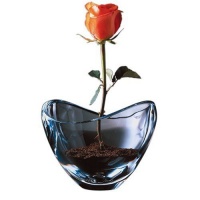 Nambe Amore 7-1/2-Inch Crystal Bowl Nambe Amore 7-1/2-Inch Crystal Bowl