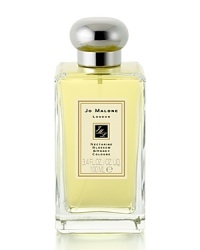 A youthful and fruity fragrance, Nectarine Blossom & Honey is inspired by the delicious scent of just-ripening nectarines and a taste of refreshing peach sorbet. Mouthwatering nectarine and peach with hints of plum, black currant and vetiver are combined with the sweet warmth of acacia honey in this truly seductive combination. A youthful and fruity fragrance, Nectarine Blossom & Honey is inspired by the delicious scent of just-ripening nectarines and a taste of refreshing peach sorbet. Mouthwatering nectarine and peach with hints of plum, black currant and vetiver are combined with the sweet warmth of acacia honey in this truly seductive combination.