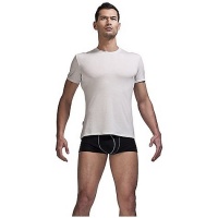 Icebreaker Men's Short Sleeve Crewe Top (Ivory/White, Small) Icebreaker Men's Short Sleeve Crewe Top (Ivory/White, Small)