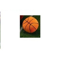 All Stars Plush Sound Basketball All Stars Plush Sound Basketball
