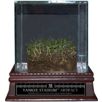 Steiner Sports MLB New York Yankees Authentic Yankee Stadium Freeze Dried Grass Sod w/ Glass Display Case Steiner Sports MLB New York Yankees Authentic Yankee Stadium Freeze Dried Grass Sod w/ Glass Display Case