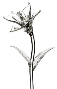 Waterford Fleurology Glass Flower, Lily Waterford Fleurology Glass Flower, Lily