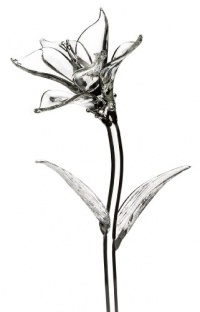 Waterford Fleurology Glass Flower, Lily