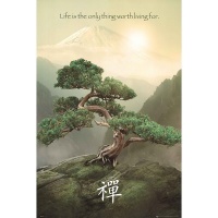 Zen-Mountain Poster Poster Print, 24x36 Zen-Mountain Poster Poster Print, 24x36