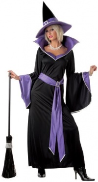 California Costumes Women's Incantasia, The Glamour Witch California Costumes Women's Incantasia, The Glamour Witch