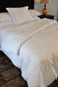 Natural Comfort Soft and Luxurious 300TC Sateen White Down Alternative Duvet Insert, Twin