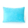 My First Toddler Memory Foam Pillow with Matching Pillow Case, Soft Blue