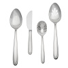 Waterford Ballet Icing Stainless Steel 4-Piece Hostess Set