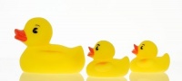 Vital Baby Play 'n' Splash Family, Ducks, 3 Pack Vital Baby Play 'n' Splash Family, Ducks, 3 Pack