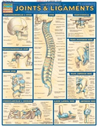 Joints & Ligaments (Quickstudy: Academic) Joints & Ligaments (Quickstudy: Academic)