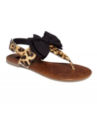 A floppy bow makes this leopard thong perfectly lady-like. Dress them up or down, Material Girl's Swift sandals are a great fit either way. A floppy bow makes this leopard thong perfectly lady-like. Dress them up or down, Material Girl's Swift sandals are a great fit either way.