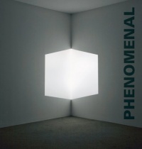 Phenomenal: California Light, Space, Surface Phenomenal: California Light, Space, Surface