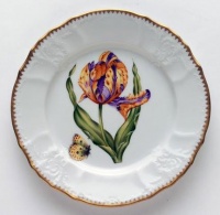 Anna Weatherley Old Master Tulips Salad Plate Purple/Yellow Anna Weatherley Old Master Tulips Salad Plate Purple/Yellow