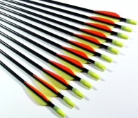 Shiny Black Fiberglass Target Practice Arrows 22 for Children (1 Dozen) Shiny Black Fiberglass Target Practice Arrows 22 for Children (1 Dozen)