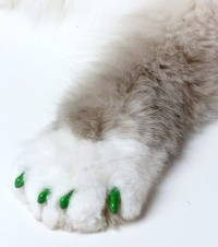 Feline Soft Claws Cat Nail Caps Take-Home Kit, Medium, Green Feline Soft Claws Cat Nail Caps Take-Home Kit, Medium, Green