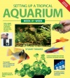 Setting up a Tropical Aquarium Week by Week